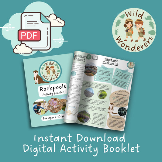 Digital Download-PDF-Activity Booklets