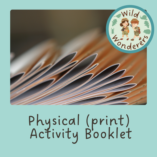 Printed -Activity Booklet